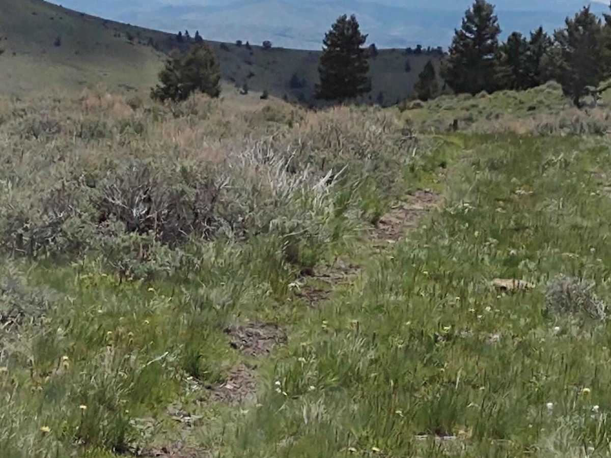 Cold Springs Road photo 4