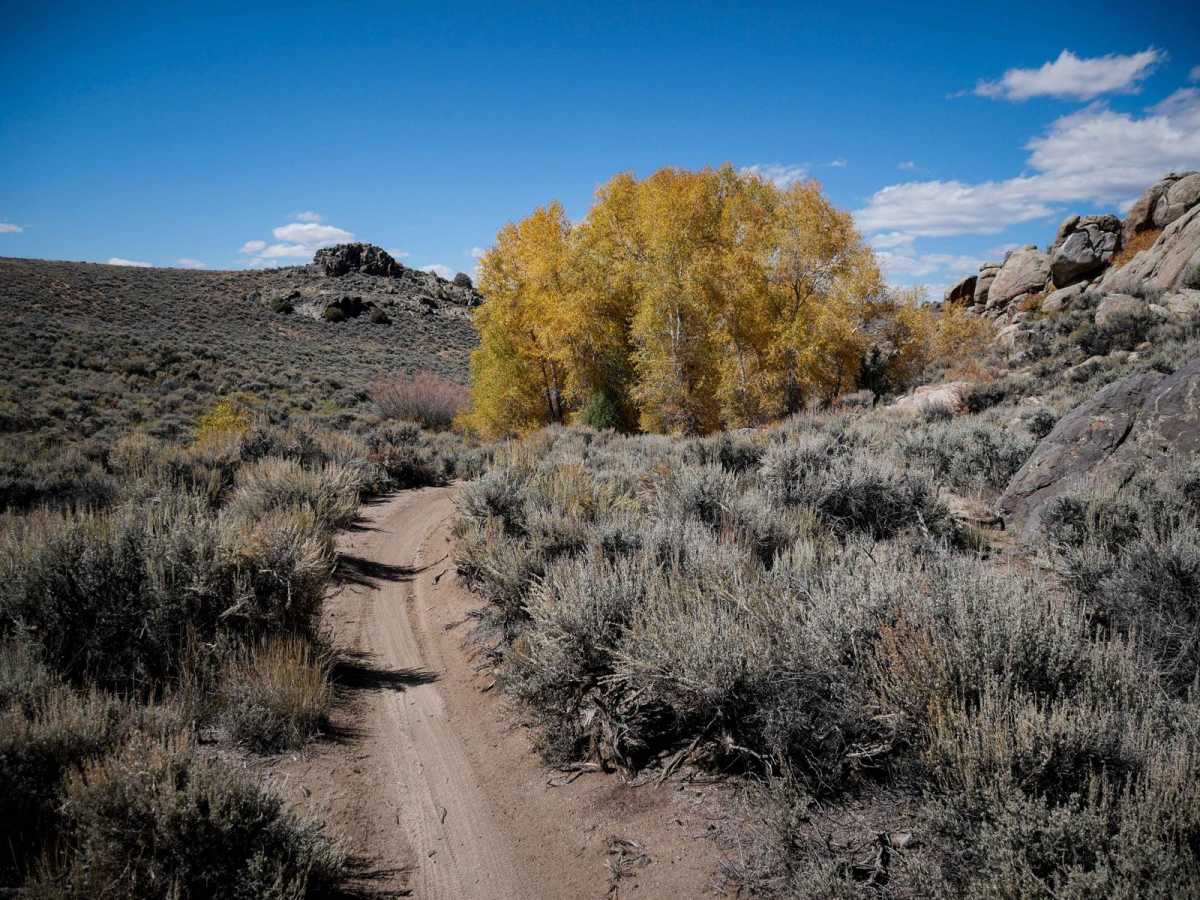 Graceland trail photo