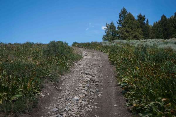 Cold Springs ATV Loop #5208 