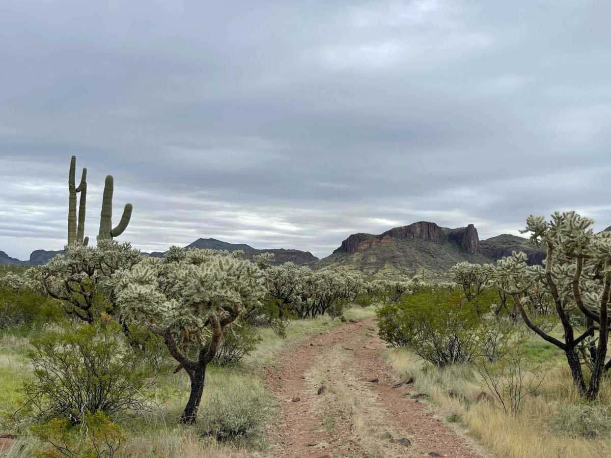 81 OH Tres trail photo