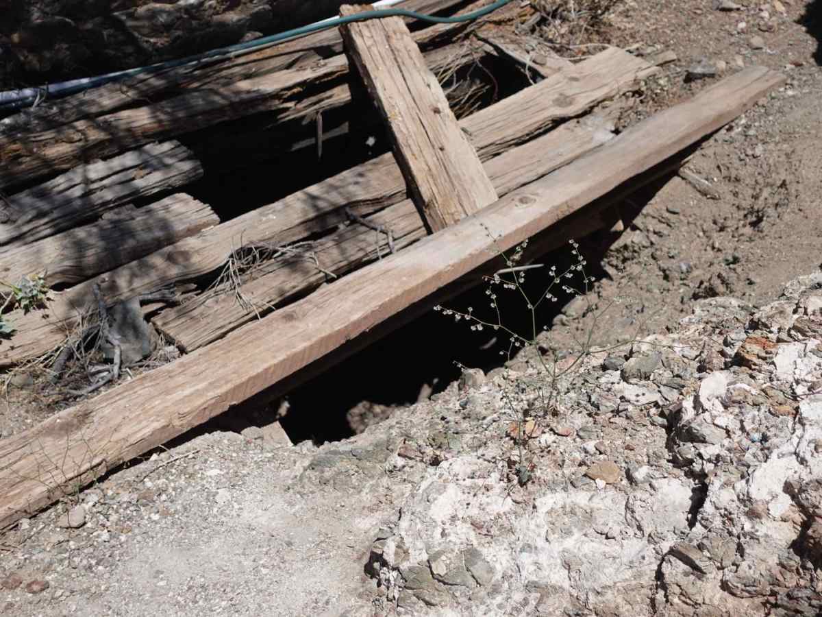 Monterey Mine photo 4