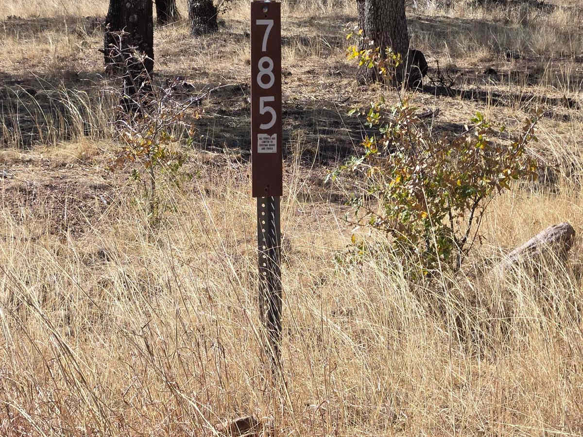 Hog Canyon- BLM 4111 trail photo