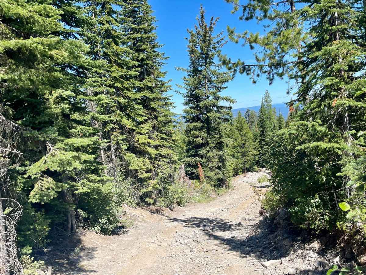 Wild Bill Eagle Mountain to The Playground photo 5