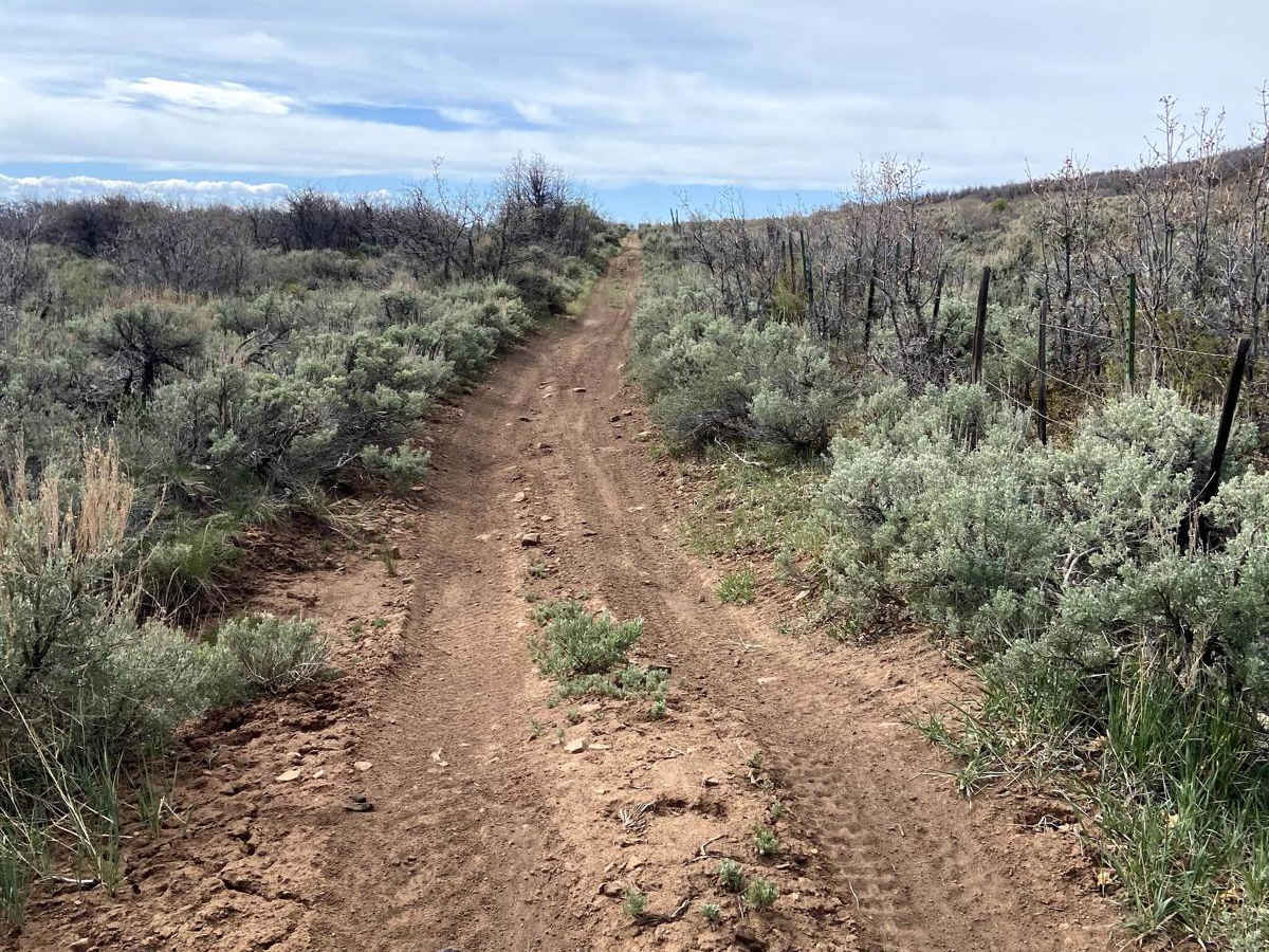 Rocky Pitch Loop photo 5