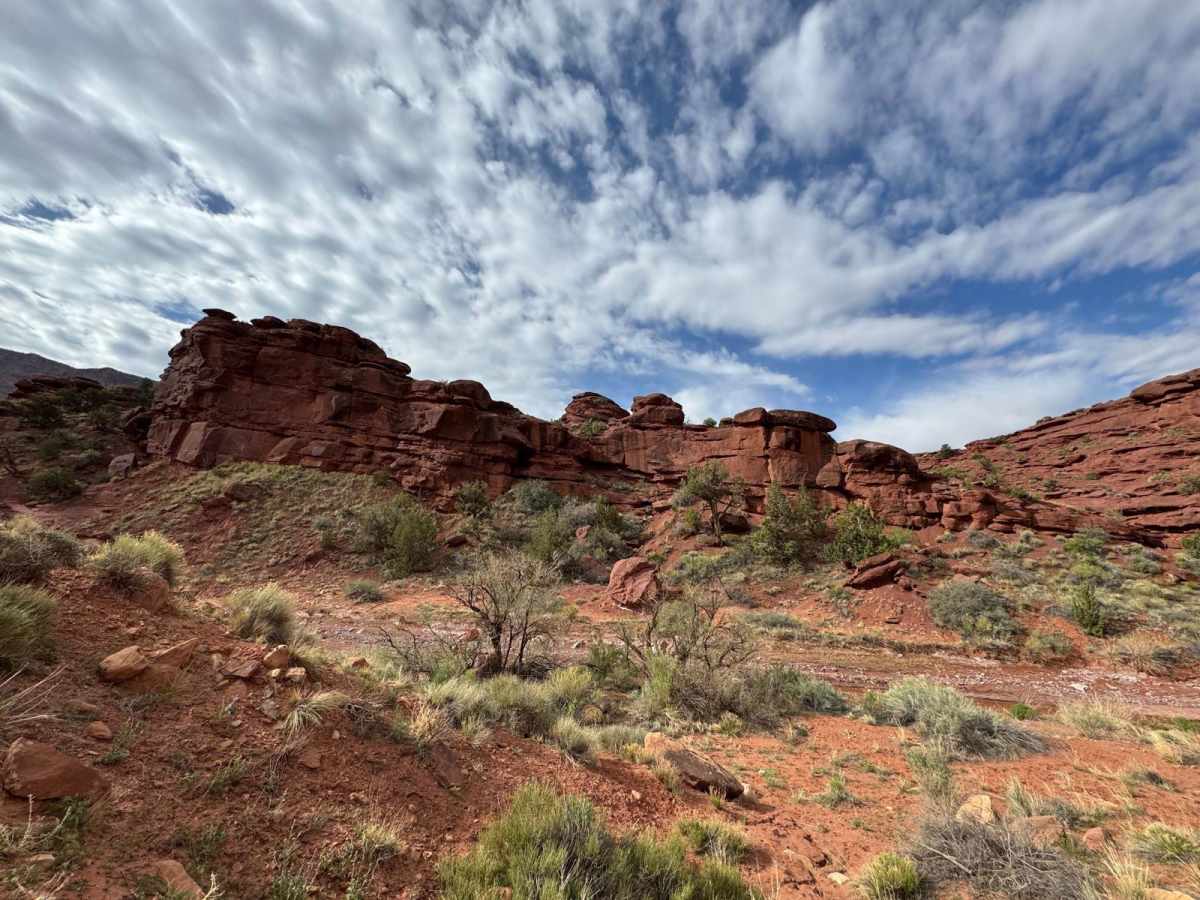 Polar Mesa trail photo