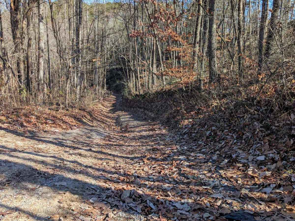 Walden's Ridge Bypass Trail 75a photo 5