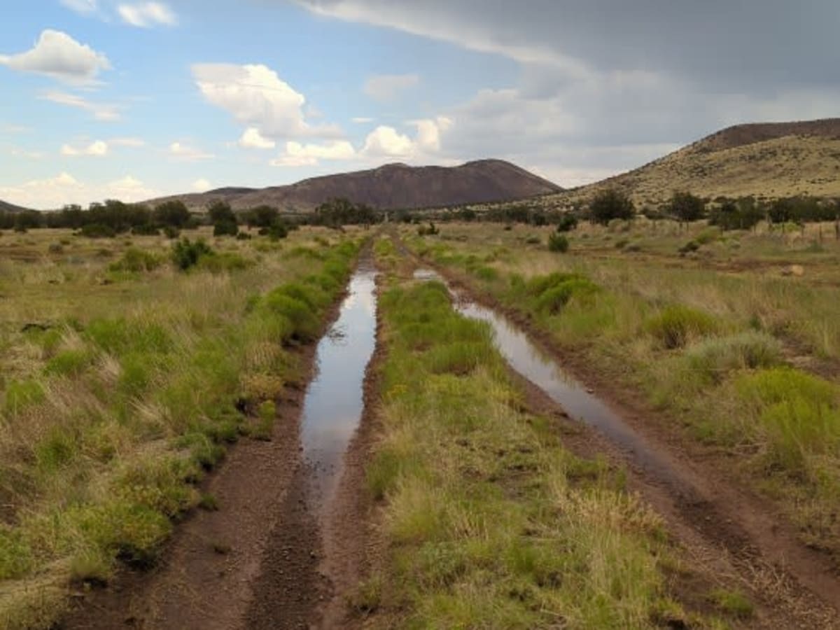 Aso Ranch to O'Leary Loop photo 3