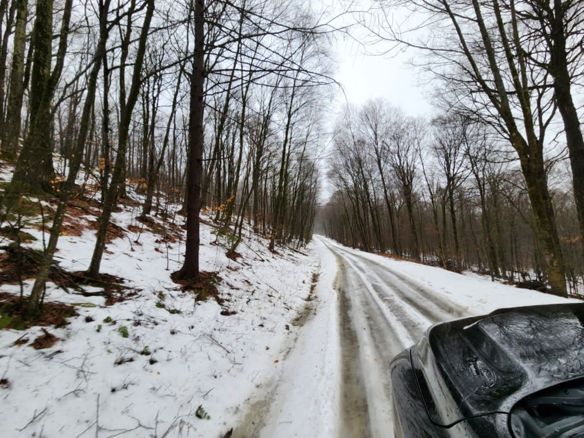Snyder Hill PFAR photo 4