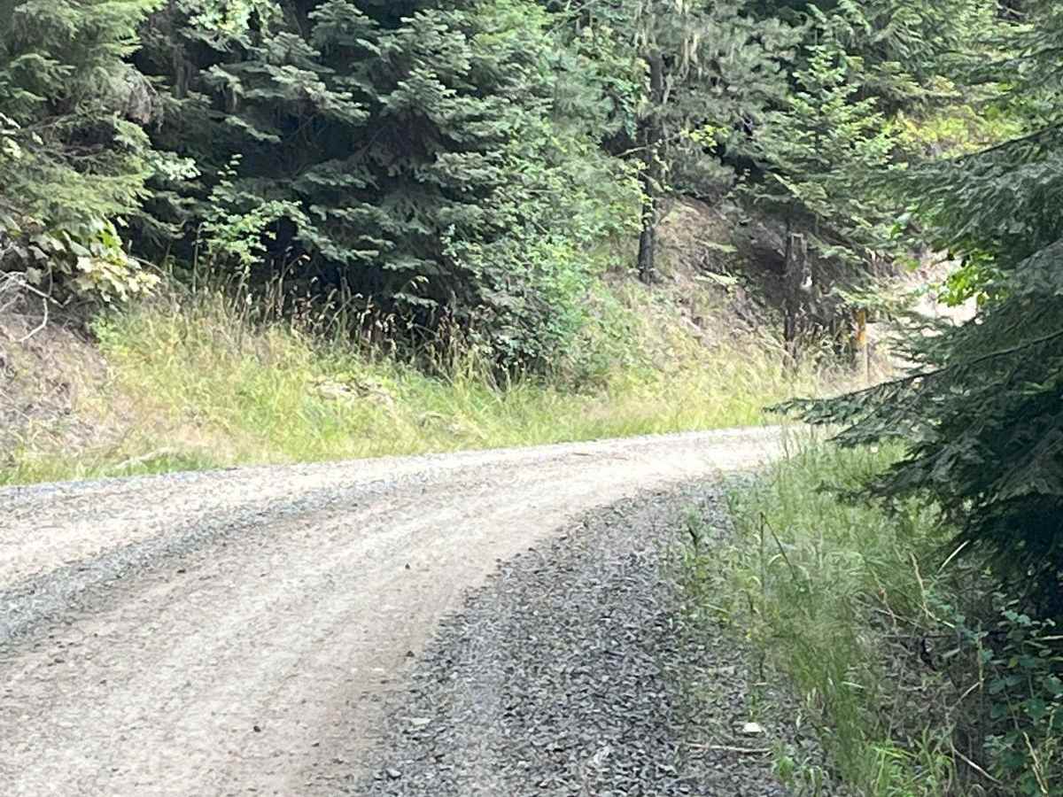 Road 4782 photo 2