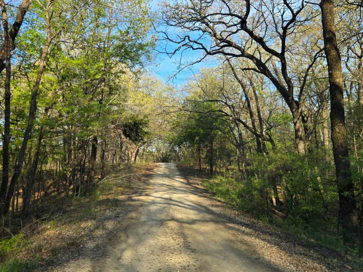 Oil Field Road photo 3