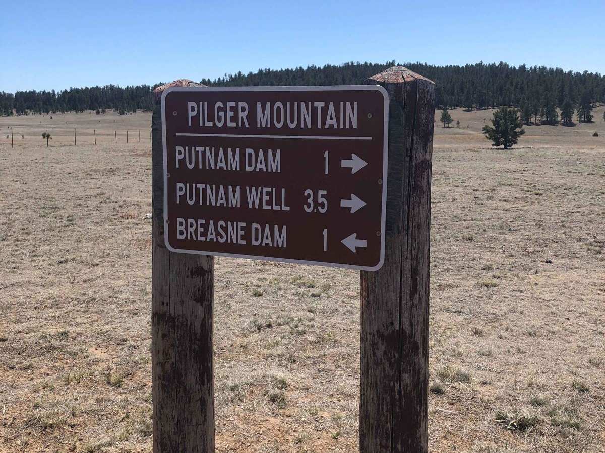 TR #319 trail photo