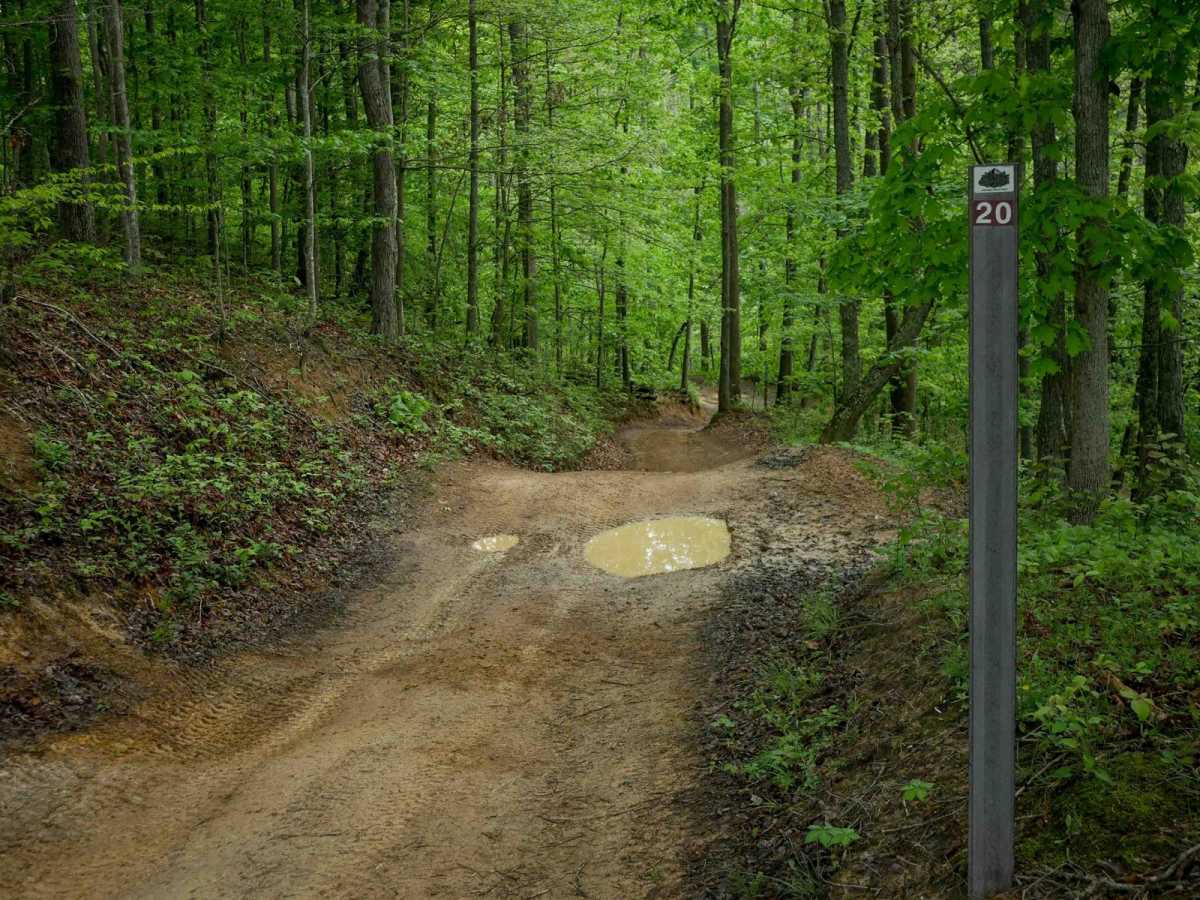 IB 20 trail photo