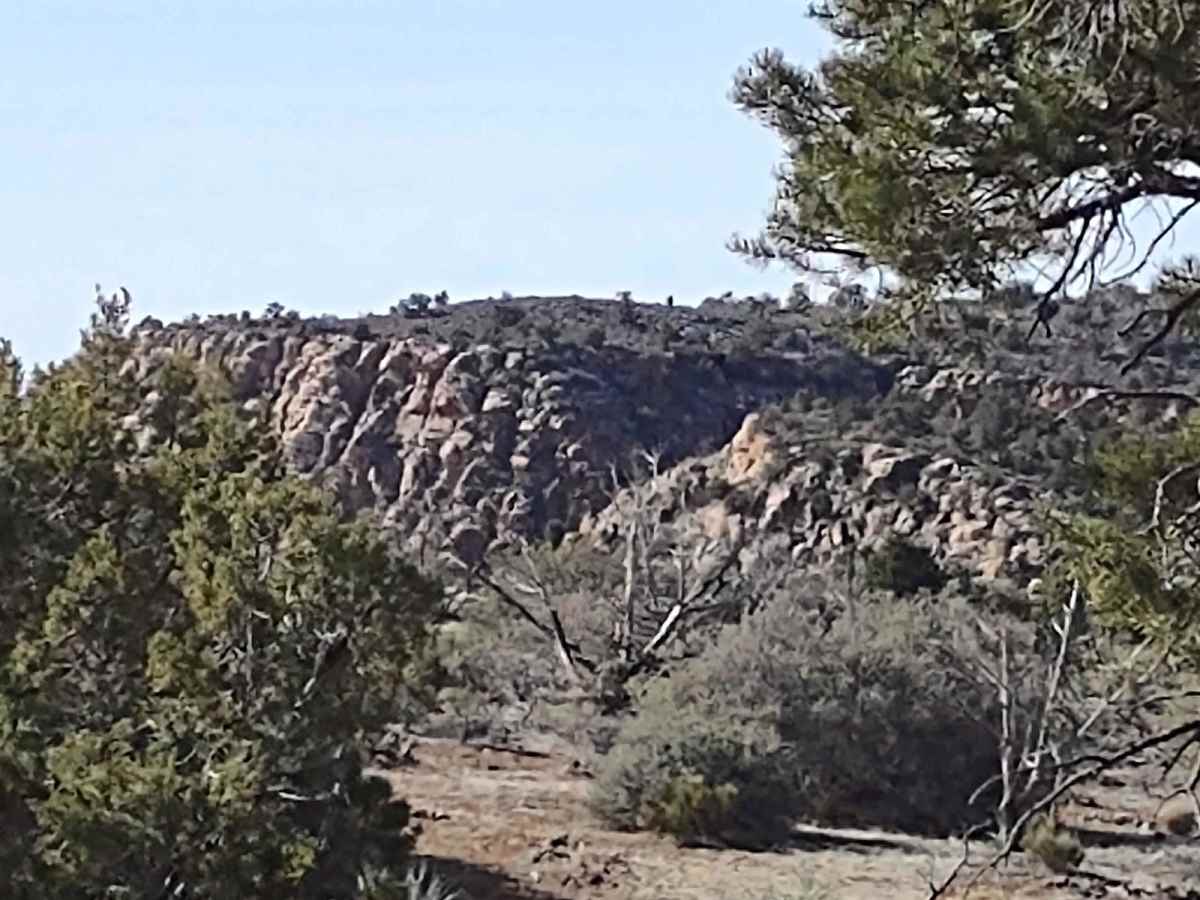 Leeds-Cottonwood Spur photo 4