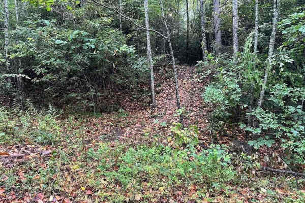 199 Single Track