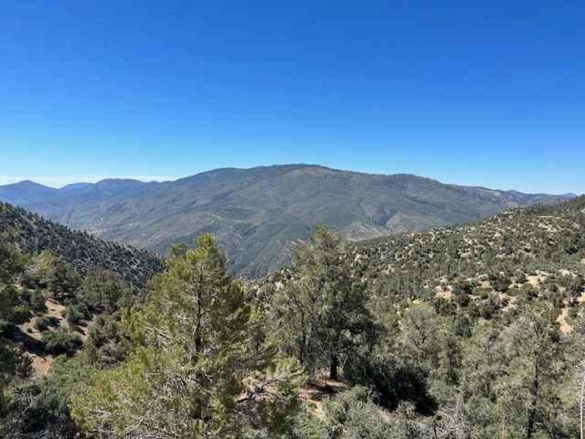 Tecuya Mountain Run trail photo