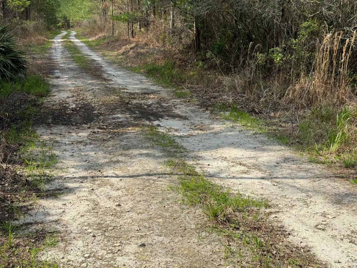 Fish Camp Road North photo 3
