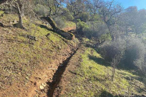 Fugawe Loop