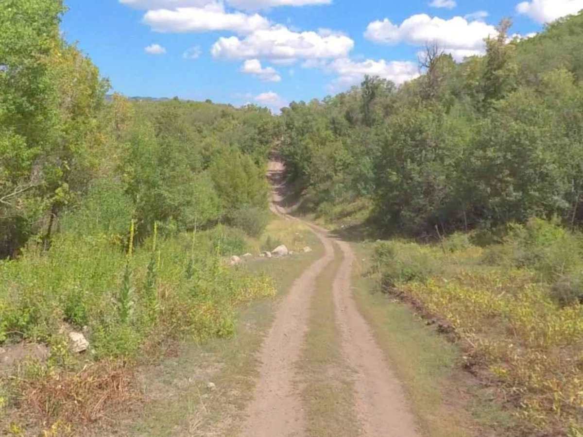 Cummings Creek Road- FS 41680 photo 5