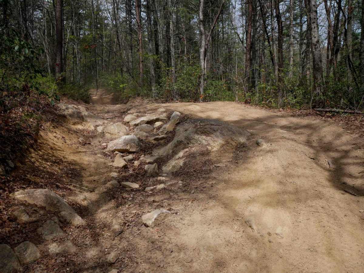 Trail 6 Miller Circle photo 5