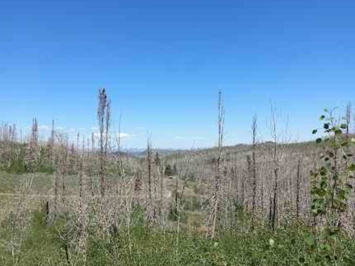 Caddy Creek/Little Valley photo 5