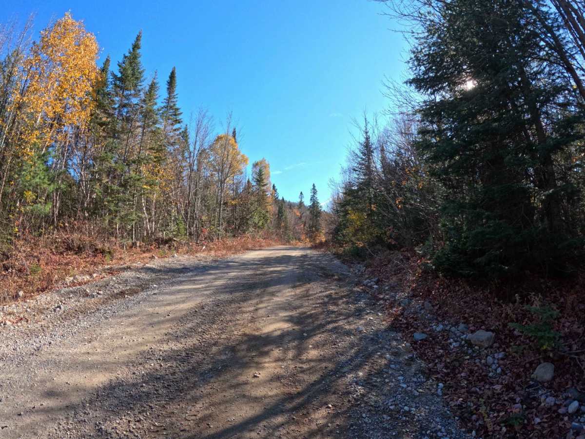 Tribag Mine Alternate Route (Carp Road) photo 5