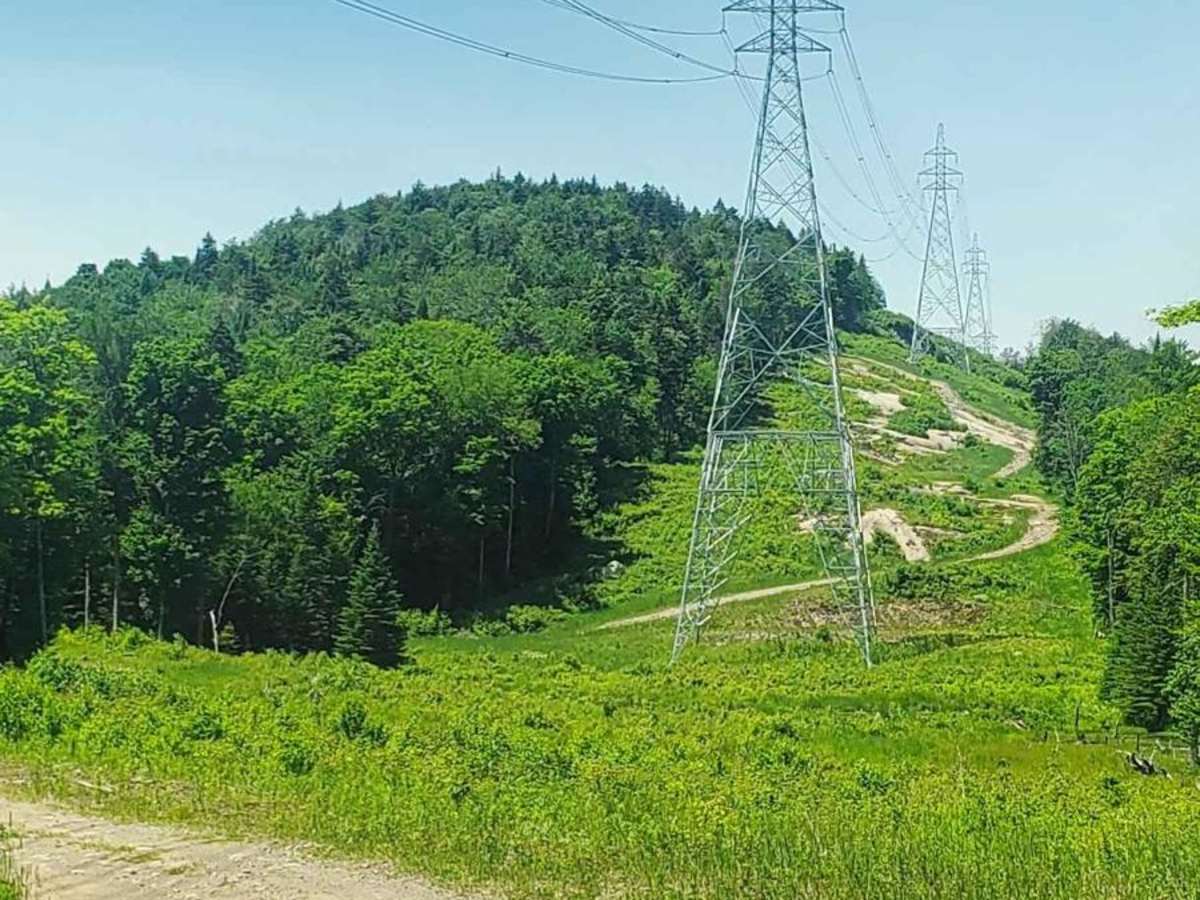 Pylon Pioneer trail photo