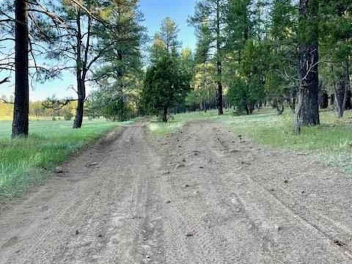Apache Maid 644E photo 2