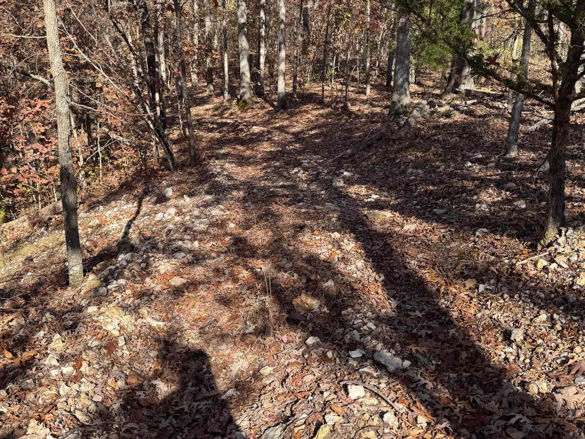 Yellow 173 trail photo