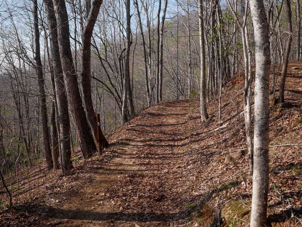 Sunset Connector Trail 9 (One-Way) photo 4