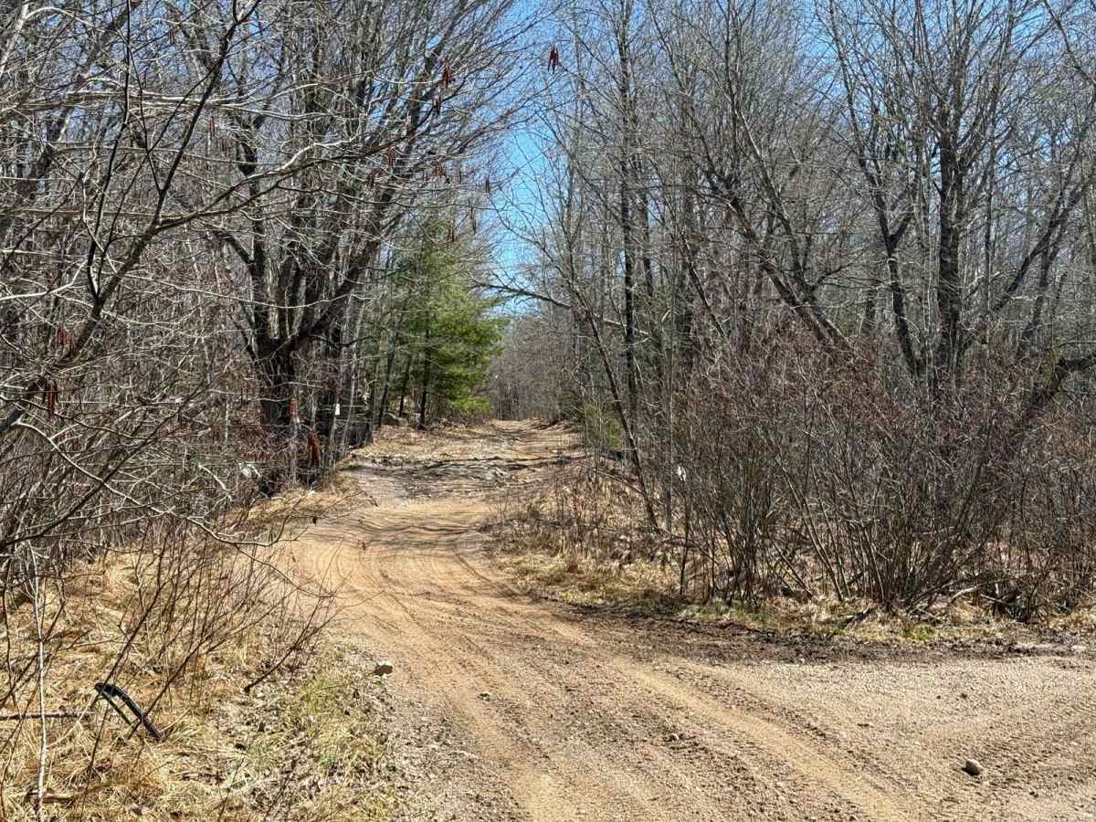 South River Lake Trail photo 4