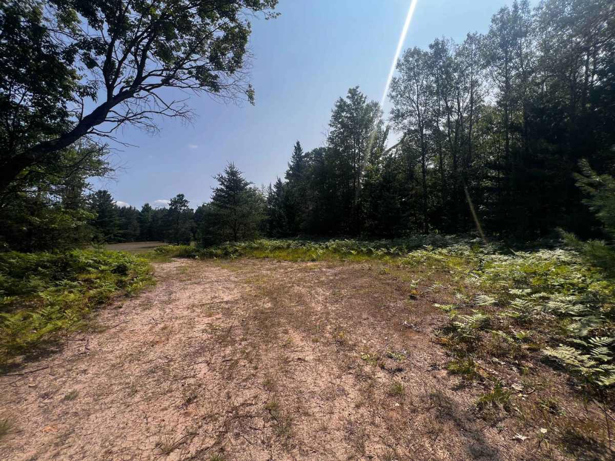 Blind Creek Trail photo 5