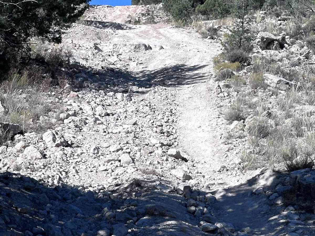 Skeleton Bones Trail photo 6