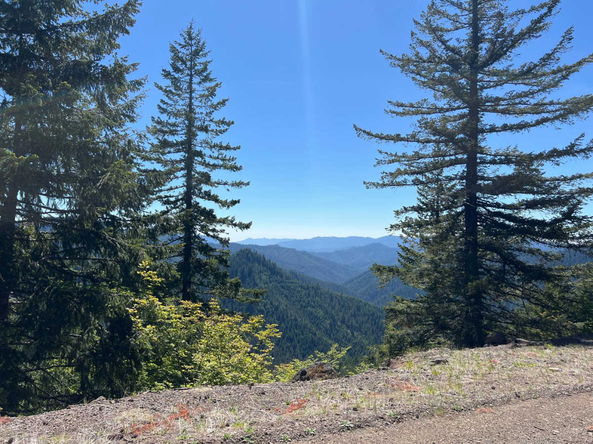NF 2212 trail photo