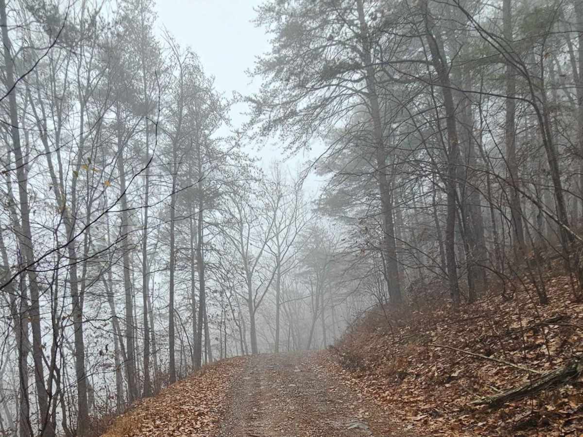 Chestnut Mountain (212A) photo 3