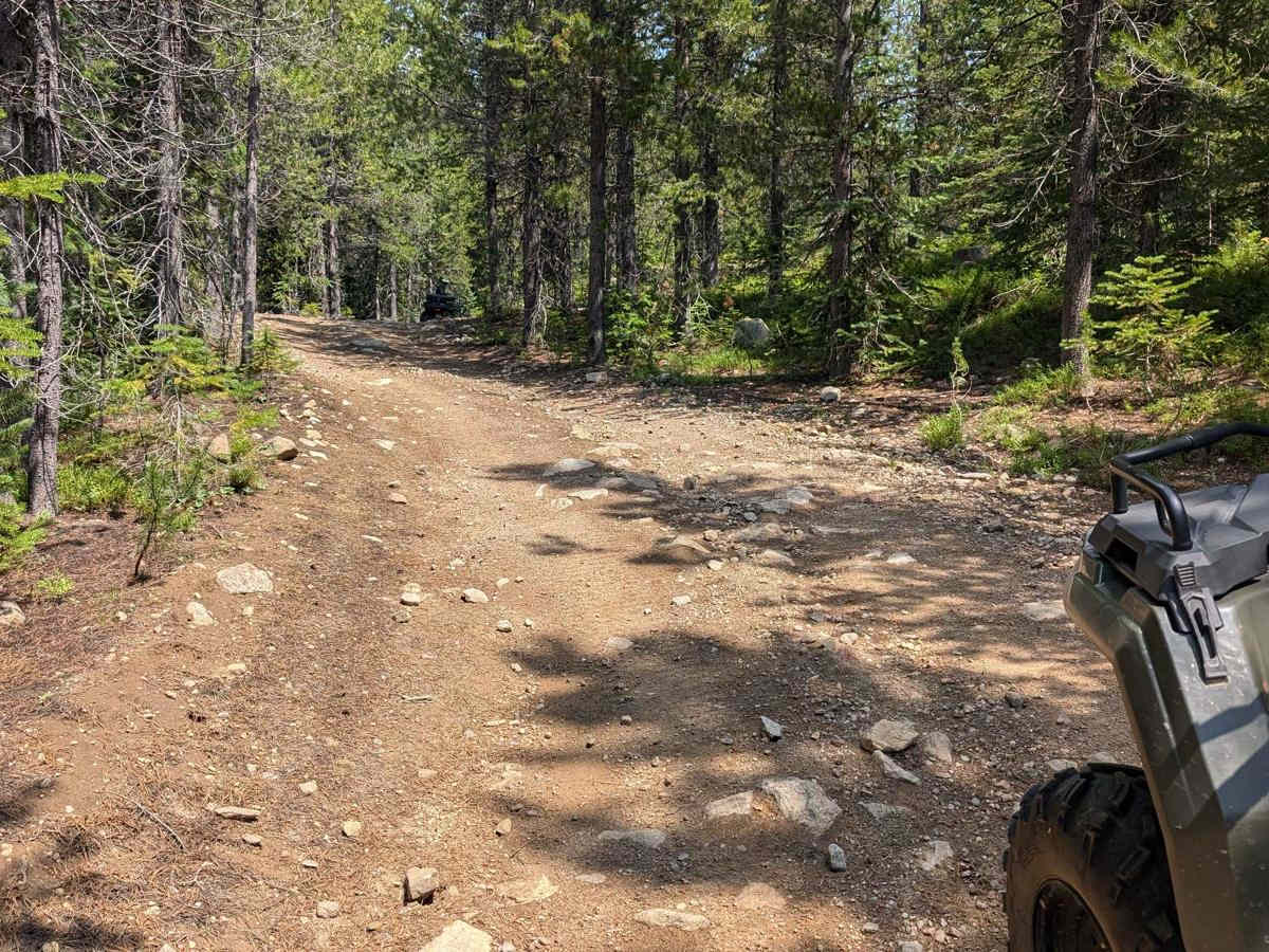 Forest Service Road 50329 (FSR 329/Willow Creek Road photo 2