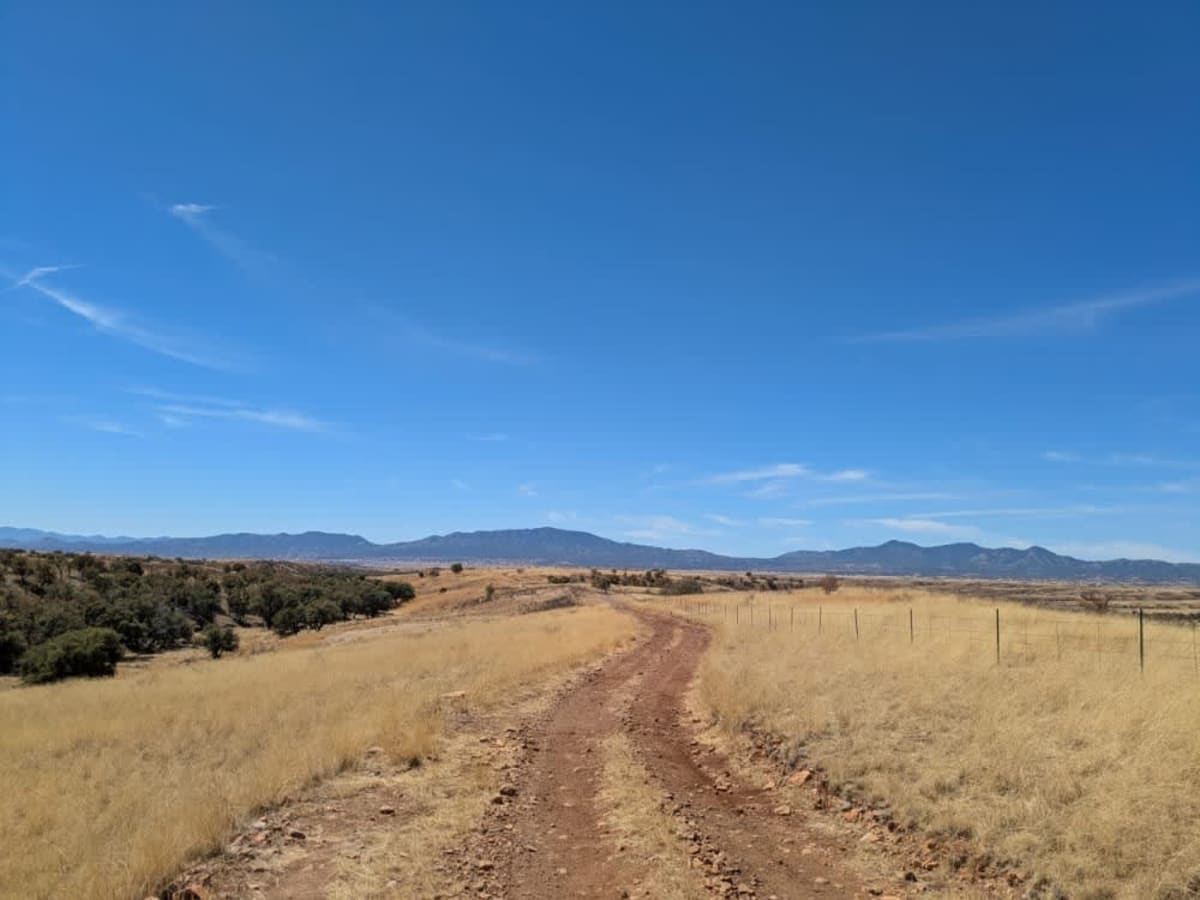 Chuparosa Road photo 3