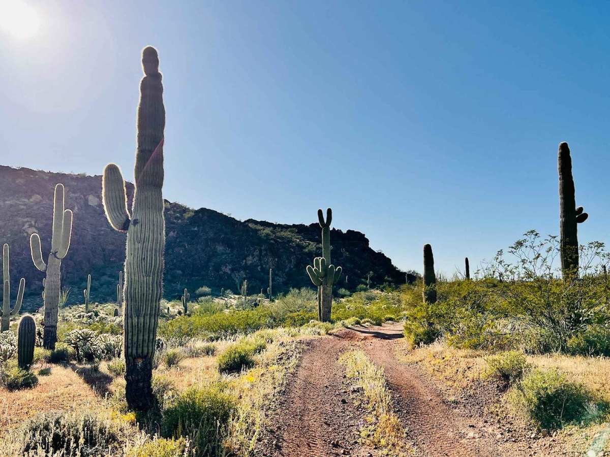 Jimmie O'Haco trail photo