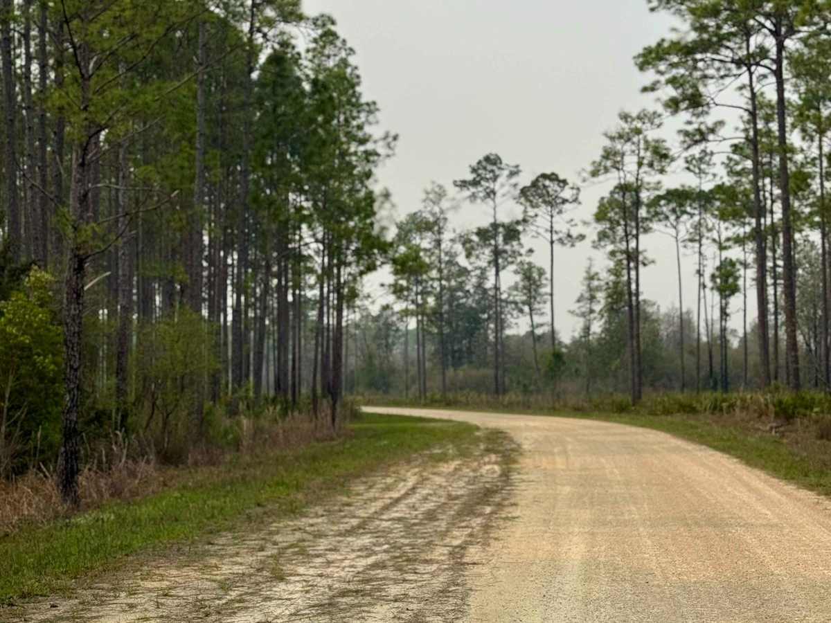 Forest Highway 13 West 65 photo 3
