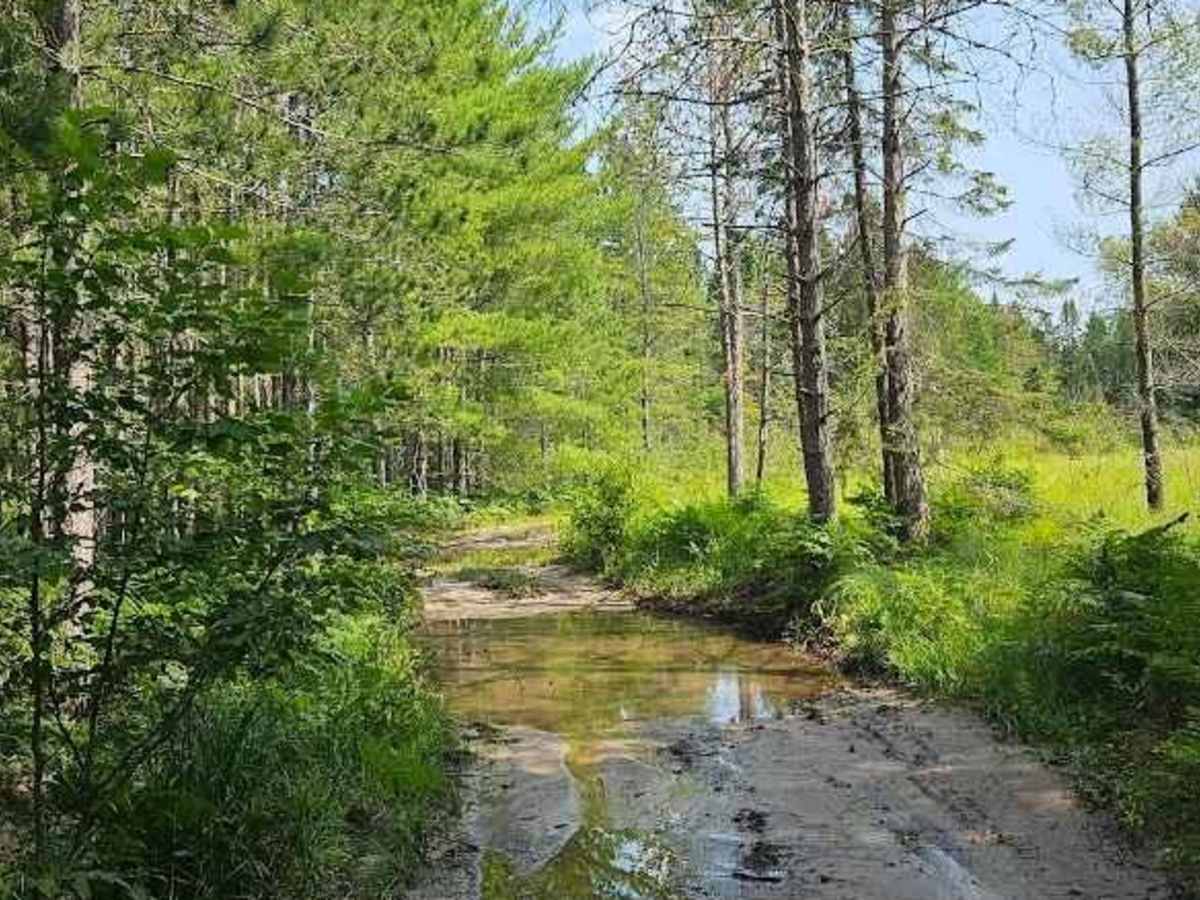 Peaceful Camping photo 4