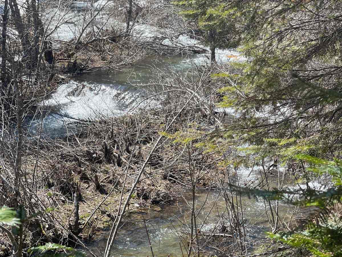 Fern Falls photo 4