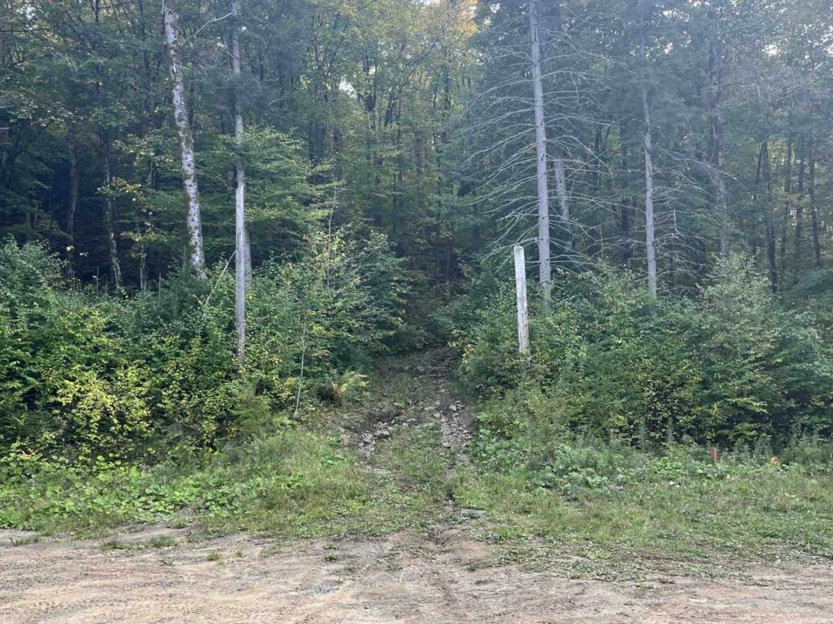LDB16 trail photo
