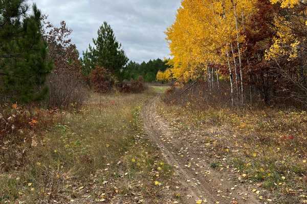 Huntersville East Wooded Free for All Trail
