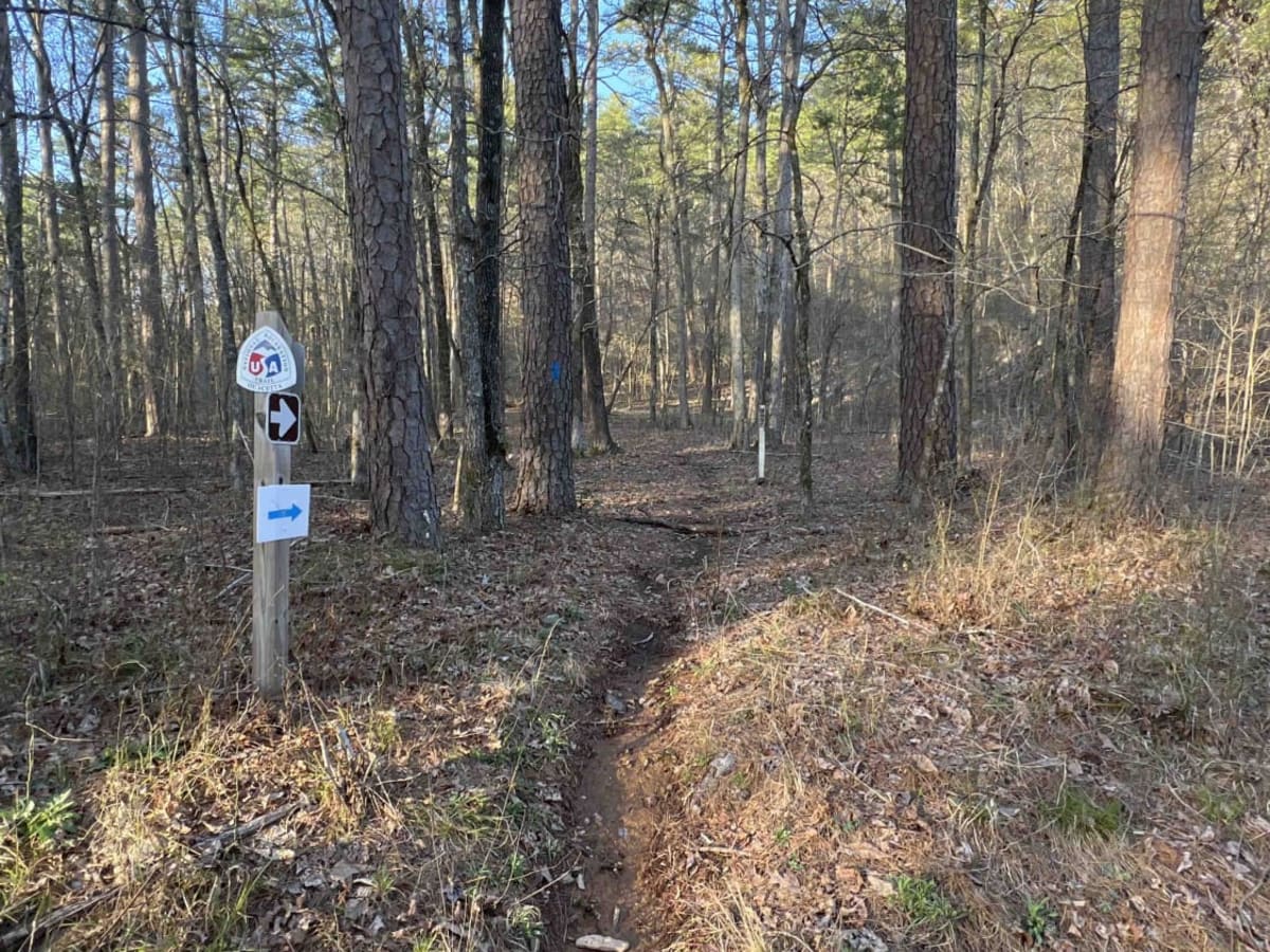 Sims Fiddler Creek 274 photo 3