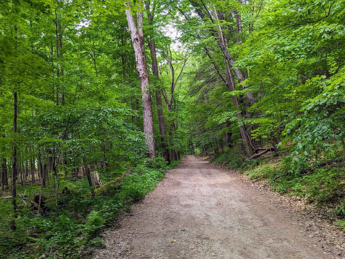 Roaring Brook Road photo 3
