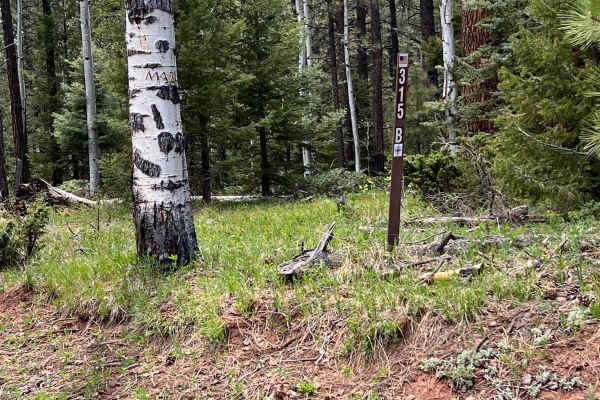 FR 315B Elk Meadows