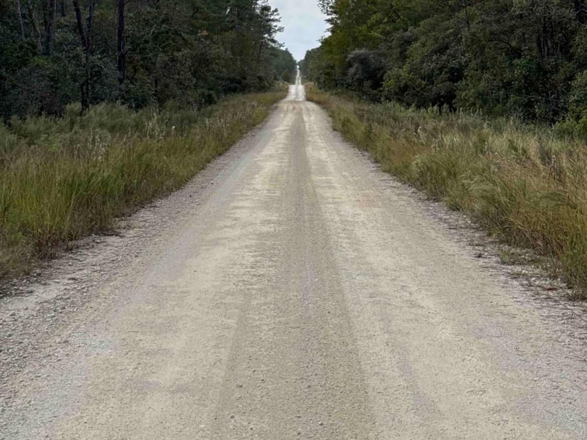 North Tower Trail - ONF 70 photo 4