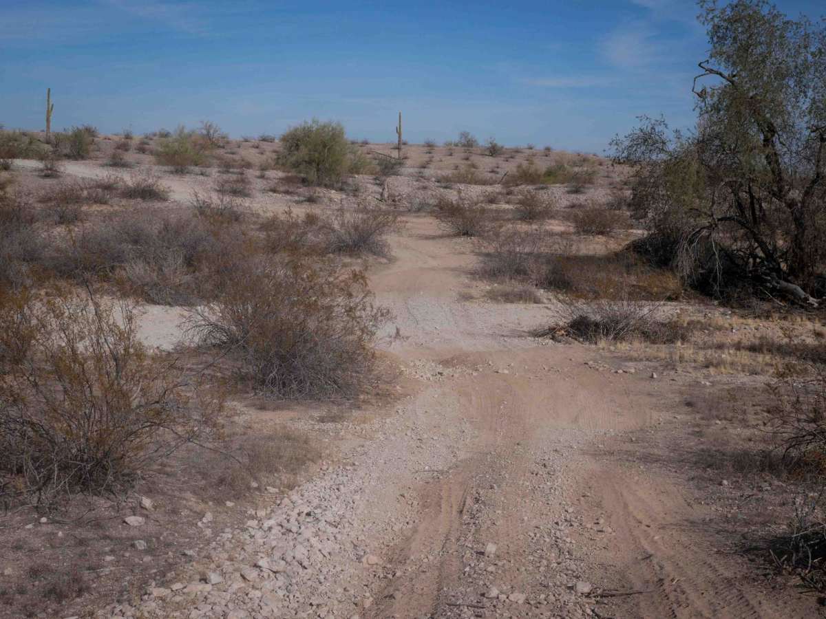 BH1106 photo 5
