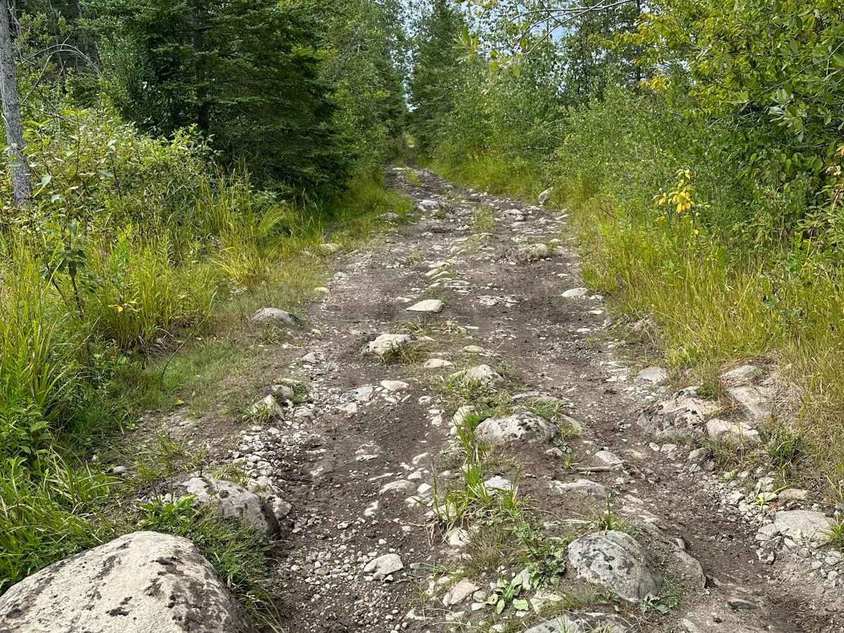 ORV Trail - 36282 photo 6
