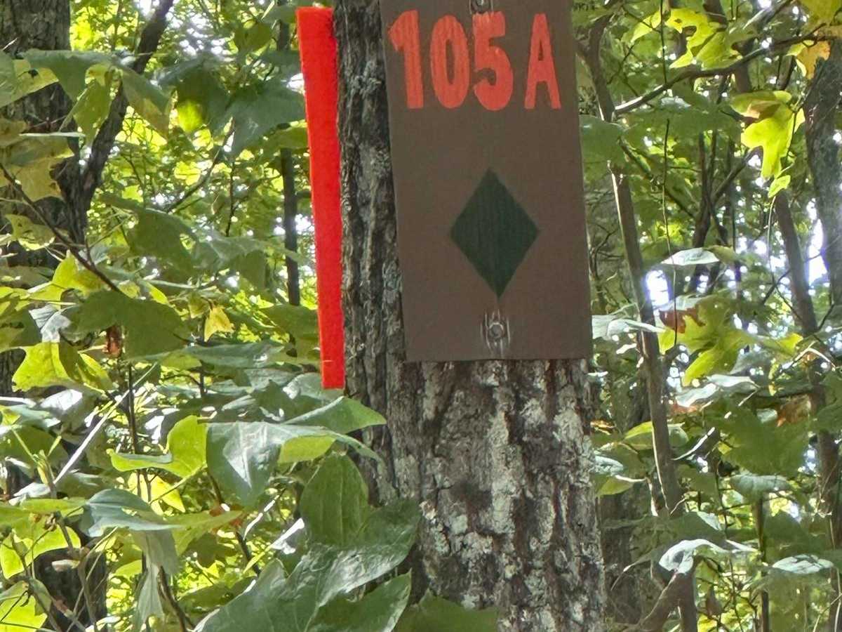 105A trail photo