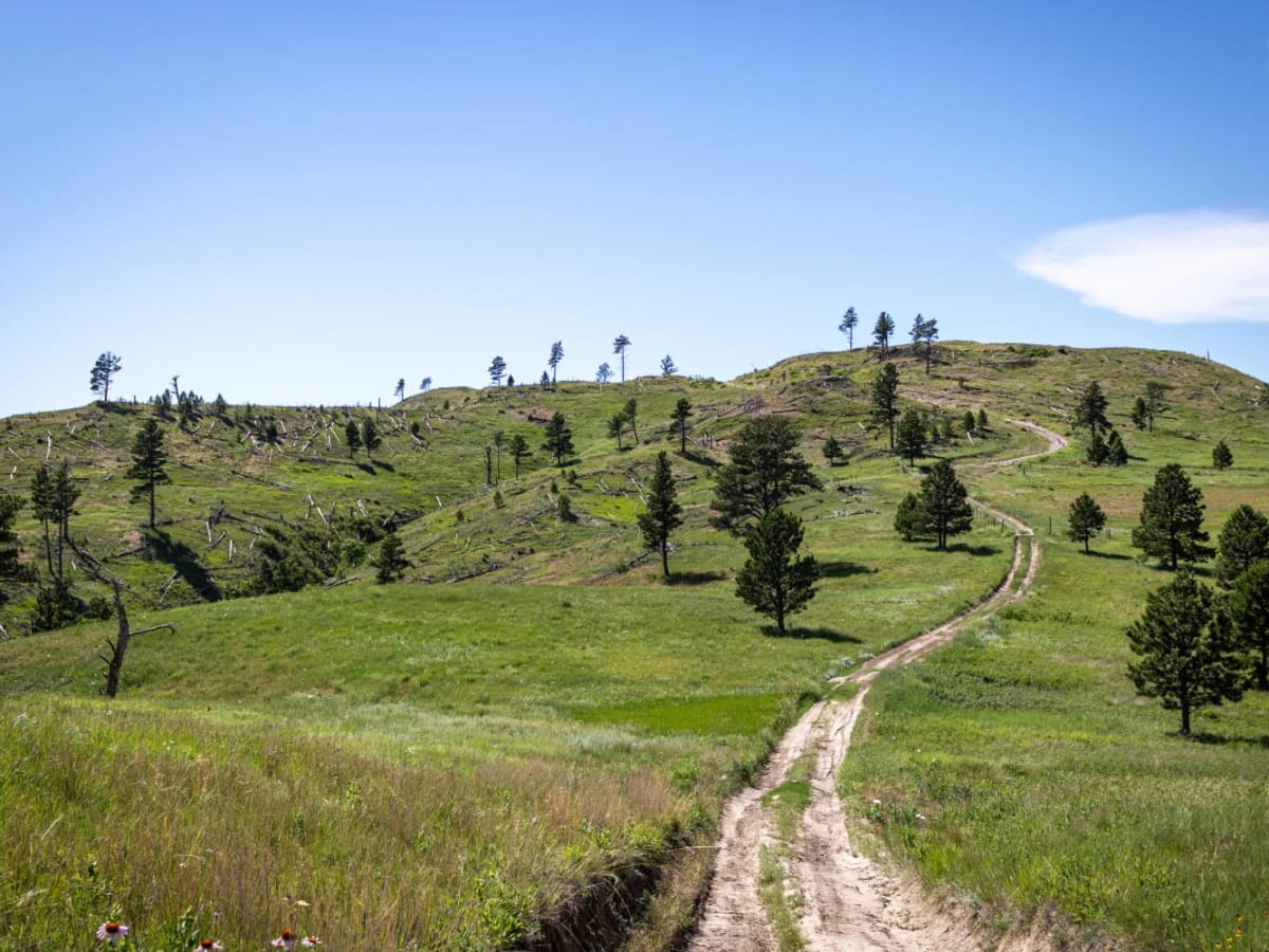 Little Wolves trail photo
